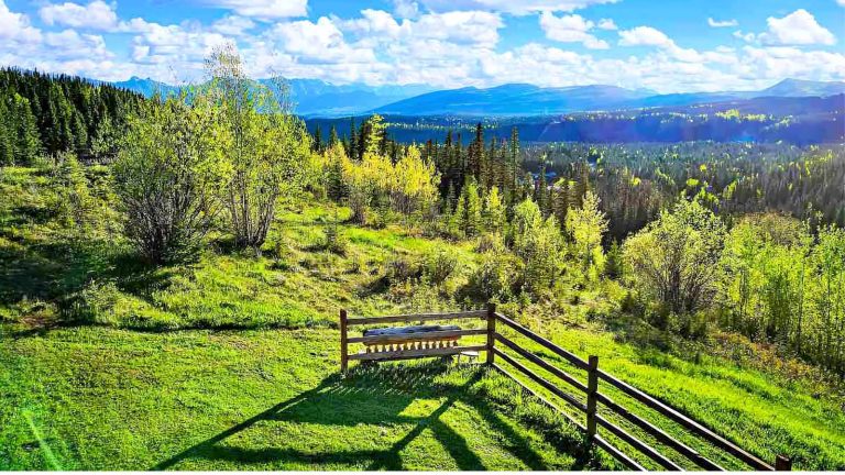 Rustic bench overlooking lush green forest and Rocky Mountain foothills at Rocky Mountain View BnB